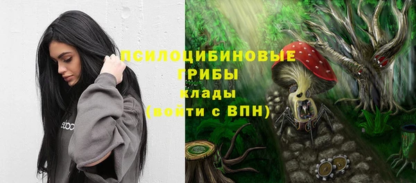 эйфоретик Алзамай