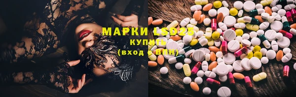 эйфоретик Алзамай