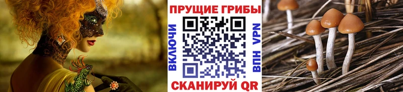 Галлюциногенные грибы мухоморы Снежинск